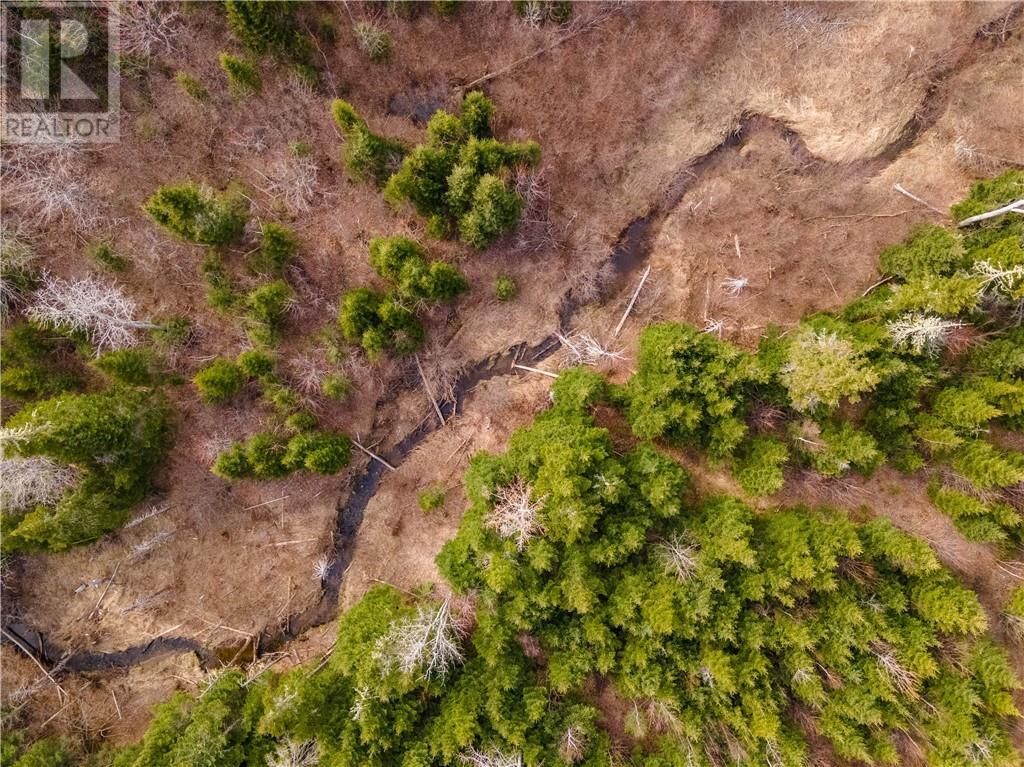 Lot Macdougall Settlement Road, Macdougall Settlement, New Brunswick  E1H 3H4 - Photo 28 - M158992