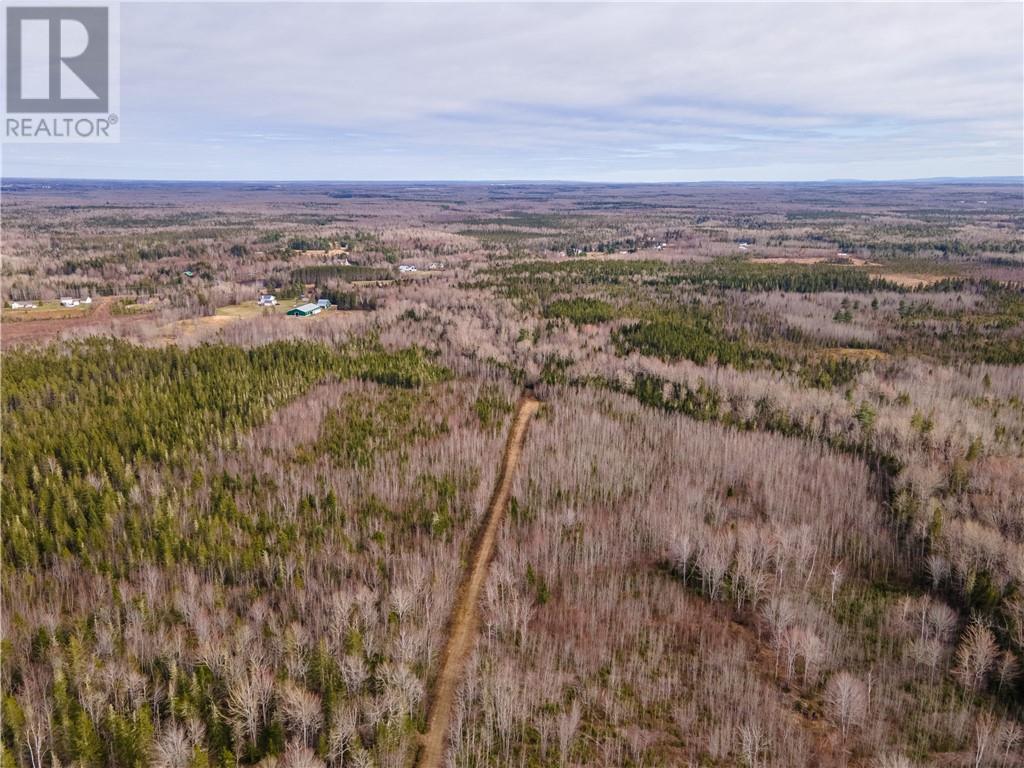 Lot Macdougall Settlement Road, Macdougall Settlement, New Brunswick  E1H 3H4 - Photo 35 - M158992