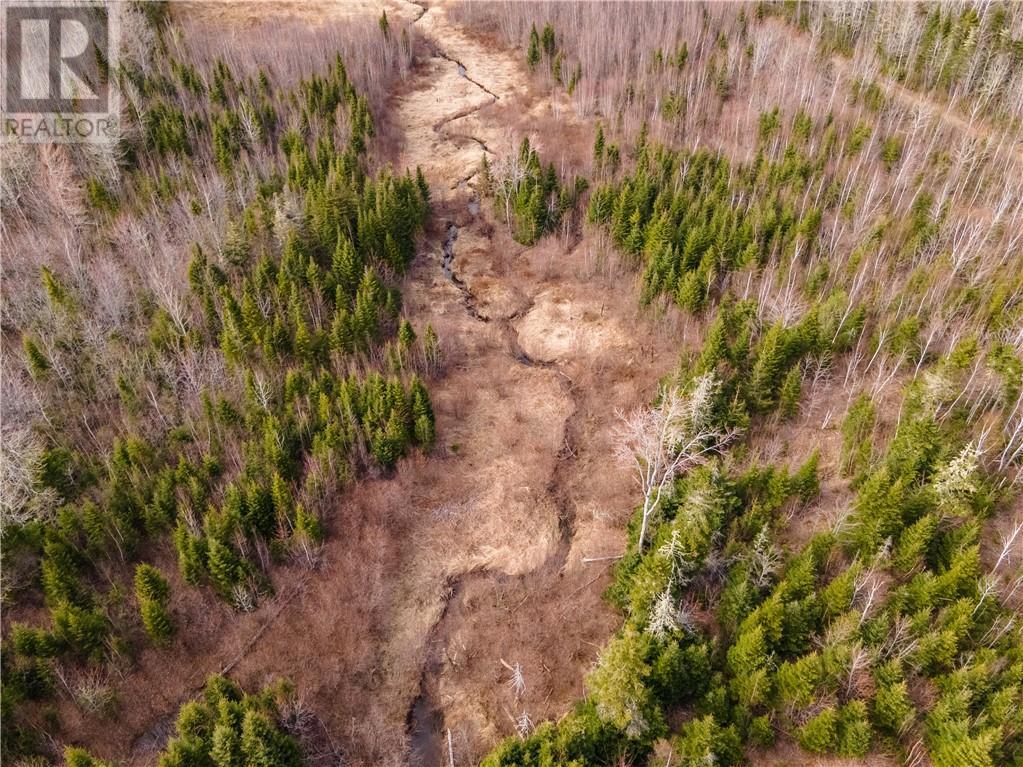 Lot Macdougall Settlement Road, Macdougall Settlement, New Brunswick  E1H 3H4 - Photo 39 - M158992