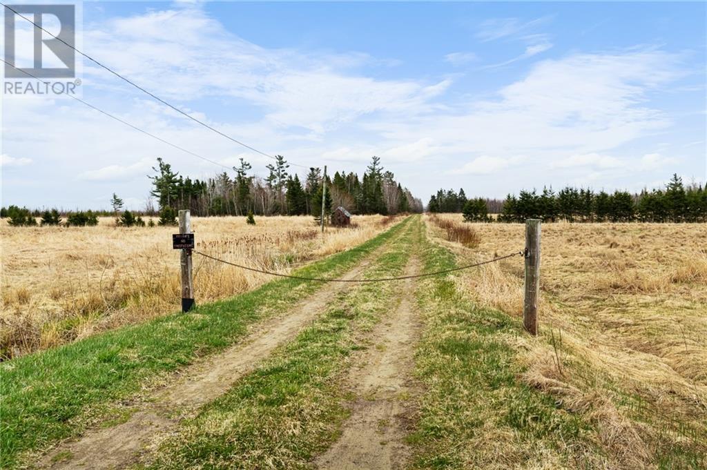 Lot Macdougall Settlement Road, Macdougall Settlement, New Brunswick  E1H 3H4 - Photo 4 - M158992