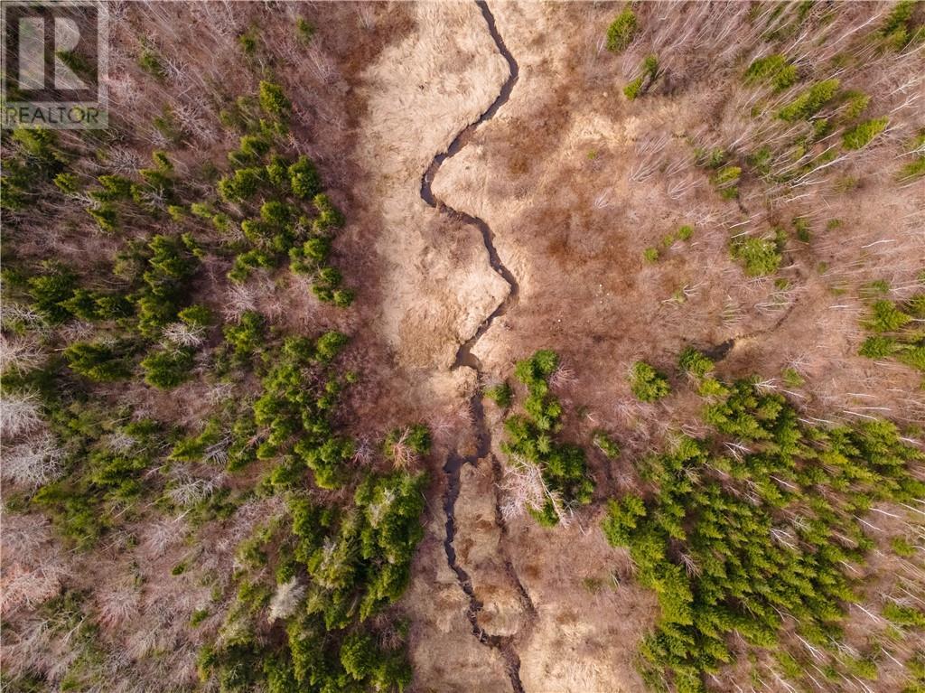 Lot Macdougall Settlement Road, Macdougall Settlement, New Brunswick  E1H 3H4 - Photo 41 - M158992