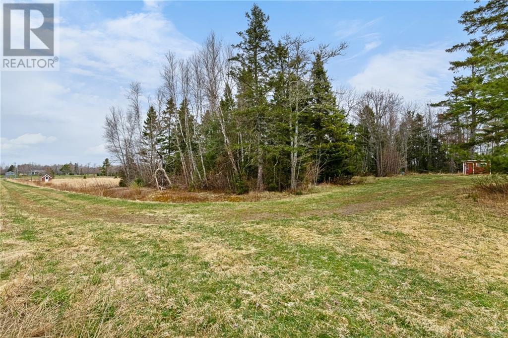 Lot Macdougall Settlement Road, Macdougall Settlement, New Brunswick  E1H 3H4 - Photo 5 - M158992