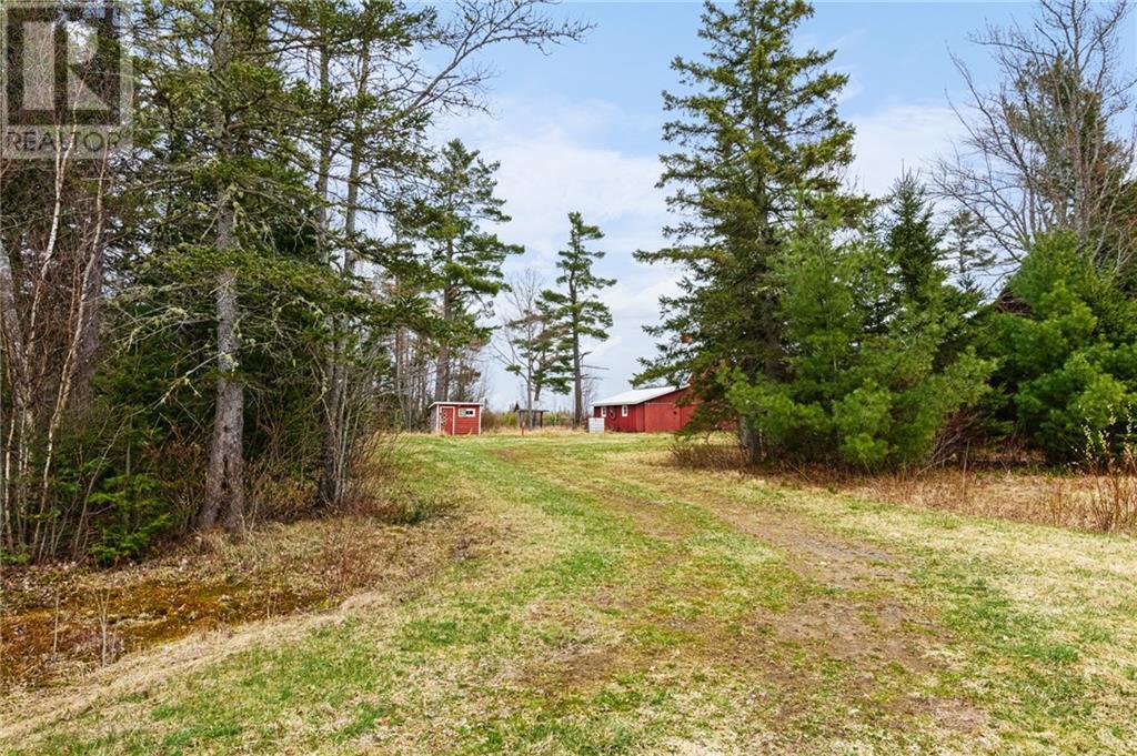 Lot Macdougall Settlement Road, Macdougall Settlement, New Brunswick  E1H 3H4 - Photo 6 - M158992