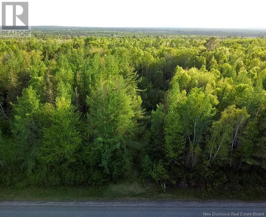 Lot 630 Route, Harvey, New Brunswick  E6J 1Y3 - Photo 7 - NB098951