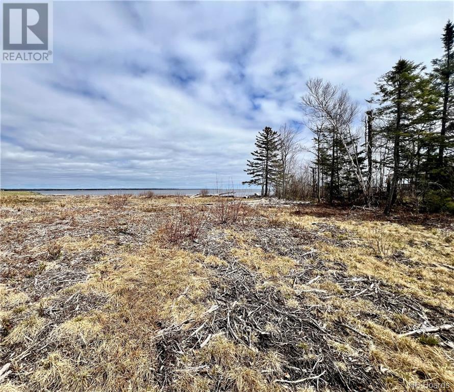 3204 Sq M Murdock Beach Road, Napan, New Brunswick  E1N 5A2 - Photo 6 - NB099009