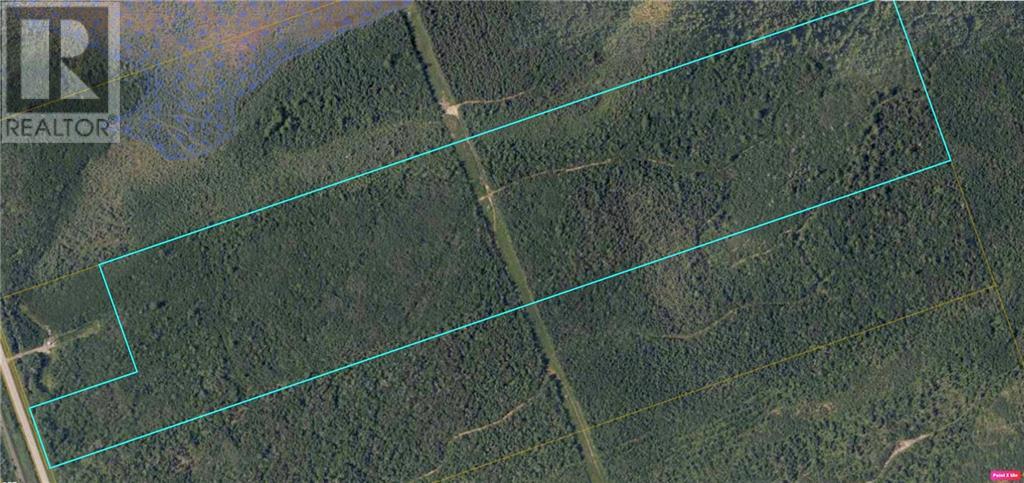 Wood Lot Route 126, Acadieville, New Brunswick  E4W 2C3 - Photo 1 - M159205