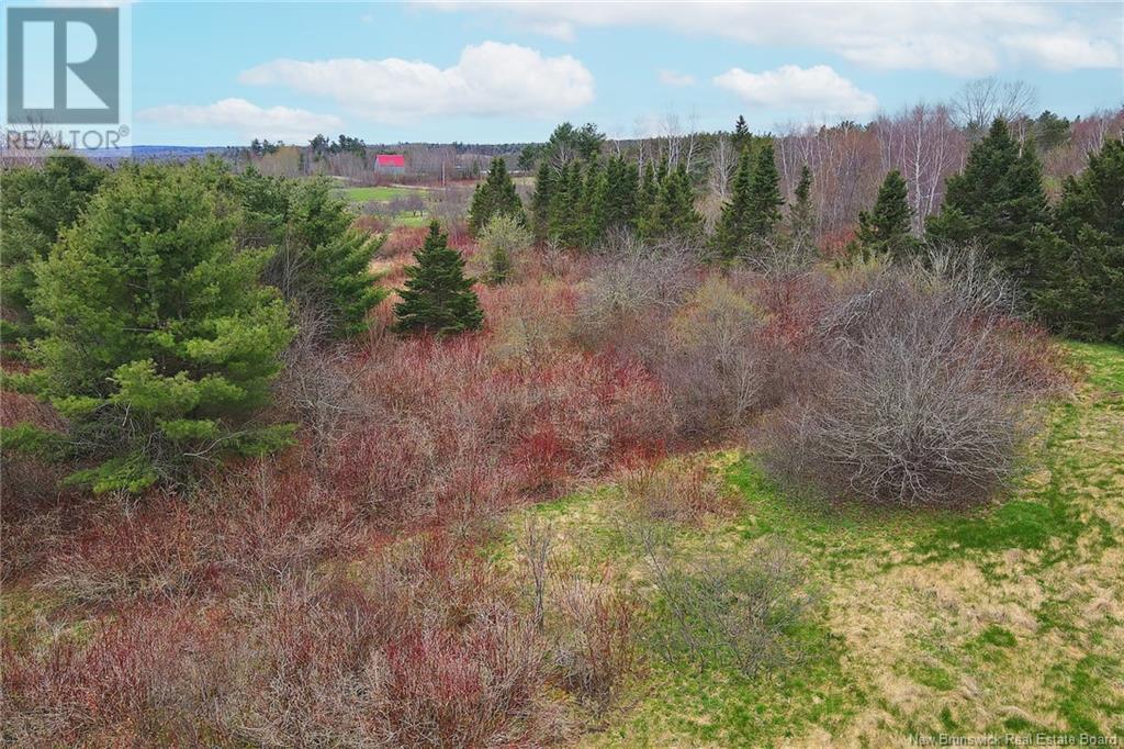 0 Reids Hill, Gagetown, New Brunswick  E5M 1E6 - Photo 12 - NB099076