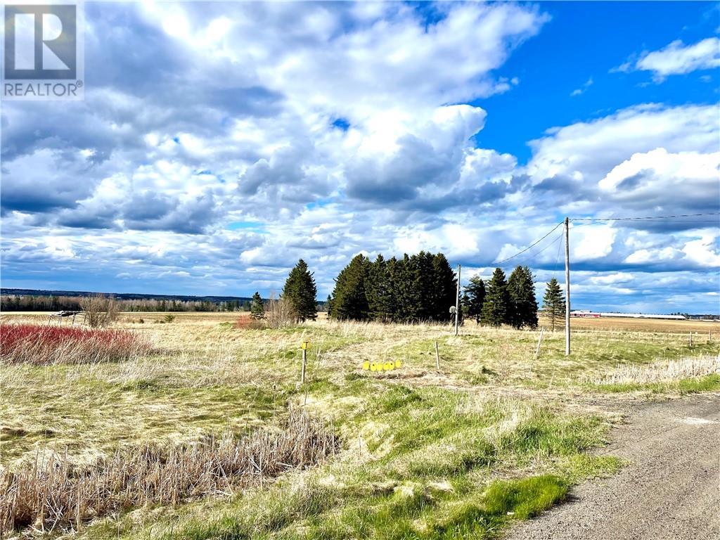 46407 Homestead Road, Second North River, New Brunswick  E4J 1Y6 - Photo 2 - M159231