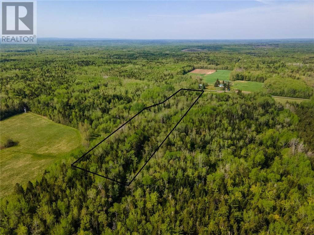 Lot 21-05 Haut St Antoine Road, Haut-Saint-Antoine, New Brunswick  E4V 3B3 - Photo 16 - M159318