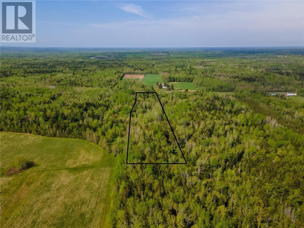 Lot 21-05 Haut St Antoine Road, Haut-Saint-Antoine, New Brunswick  E4V 3B3 - Photo 18 - M159318