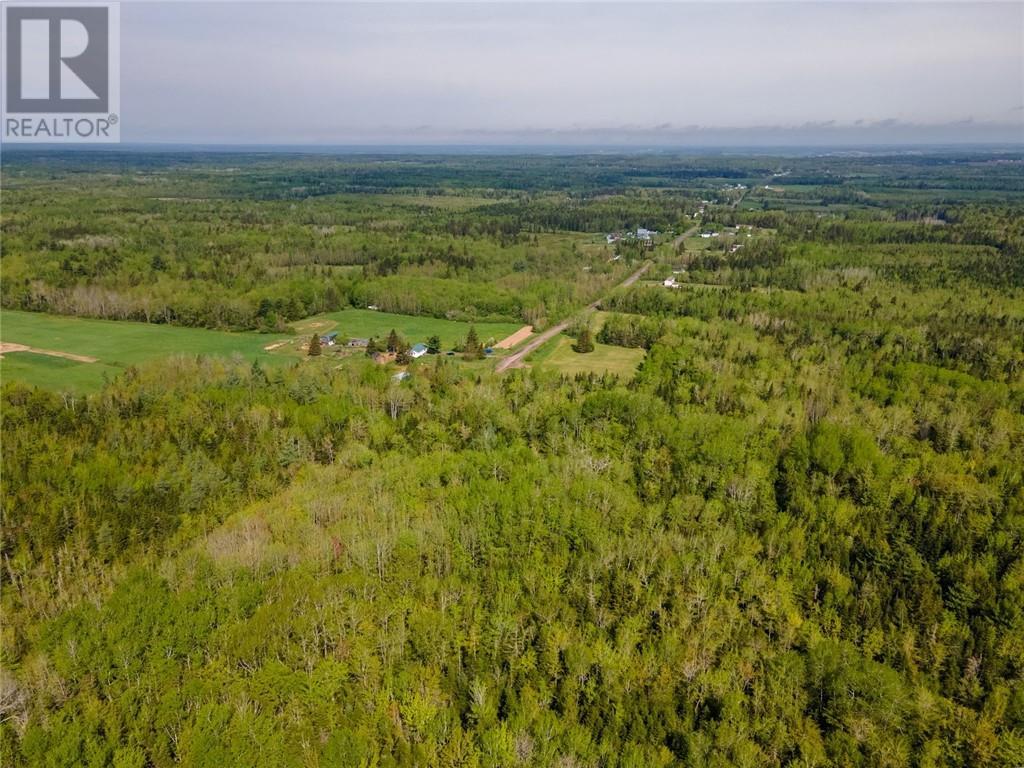 Lot 21-05 Haut St Antoine Road, Haut-Saint-Antoine, New Brunswick  E4V 3B3 - Photo 6 - M159318