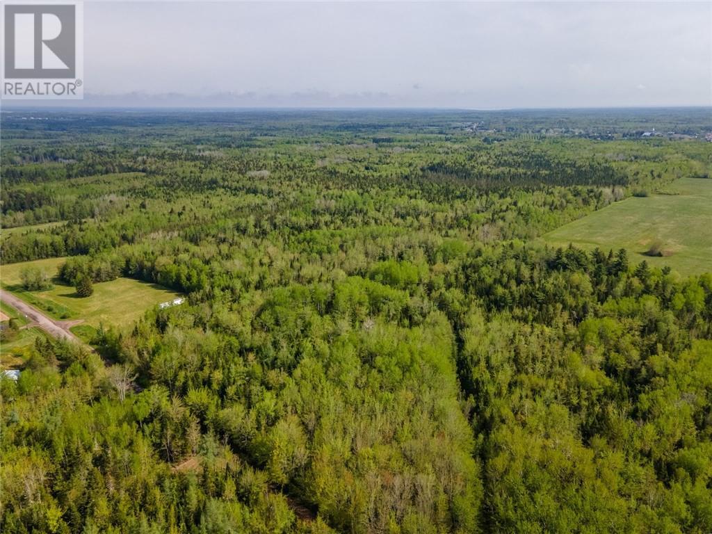 Lot 21-05 Haut St Antoine Road, Haut-Saint-Antoine, New Brunswick  E4V 3B3 - Photo 7 - M159318