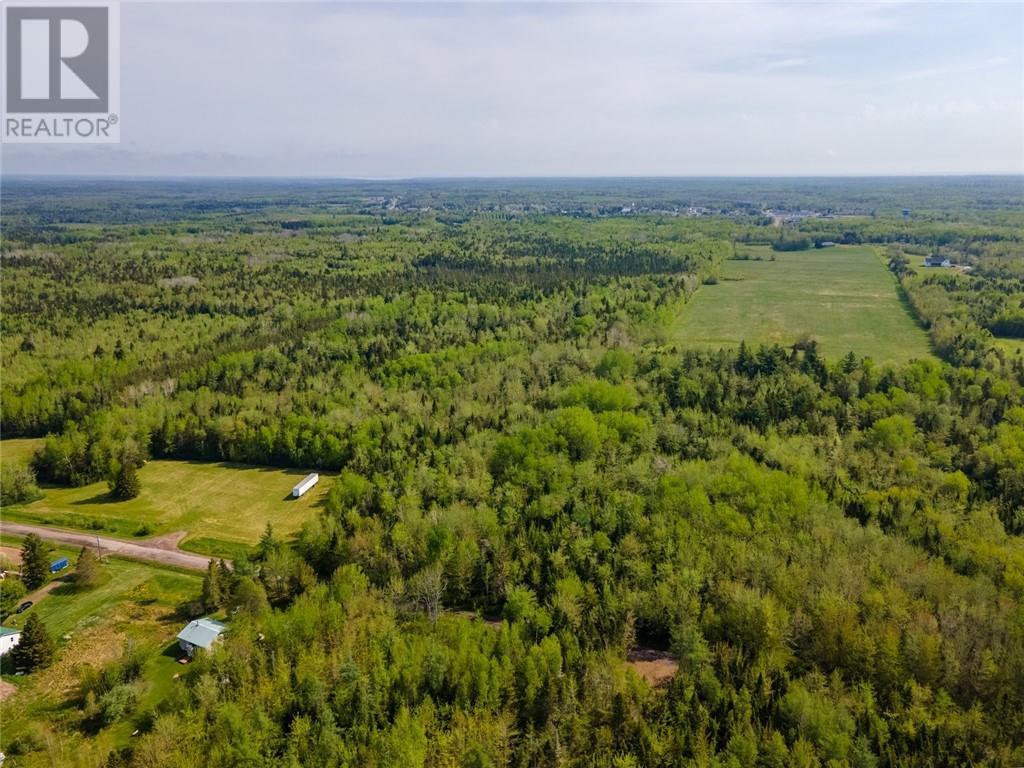 Lot 21-05 Haut St Antoine Road, Haut-Saint-Antoine, New Brunswick  E4V 3B3 - Photo 8 - M159318