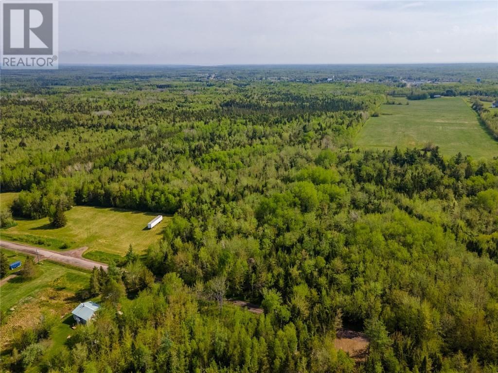 Lot 21-05 Haut St Antoine Road, Haut-Saint-Antoine, New Brunswick  E4V 3B3 - Photo 9 - M159318