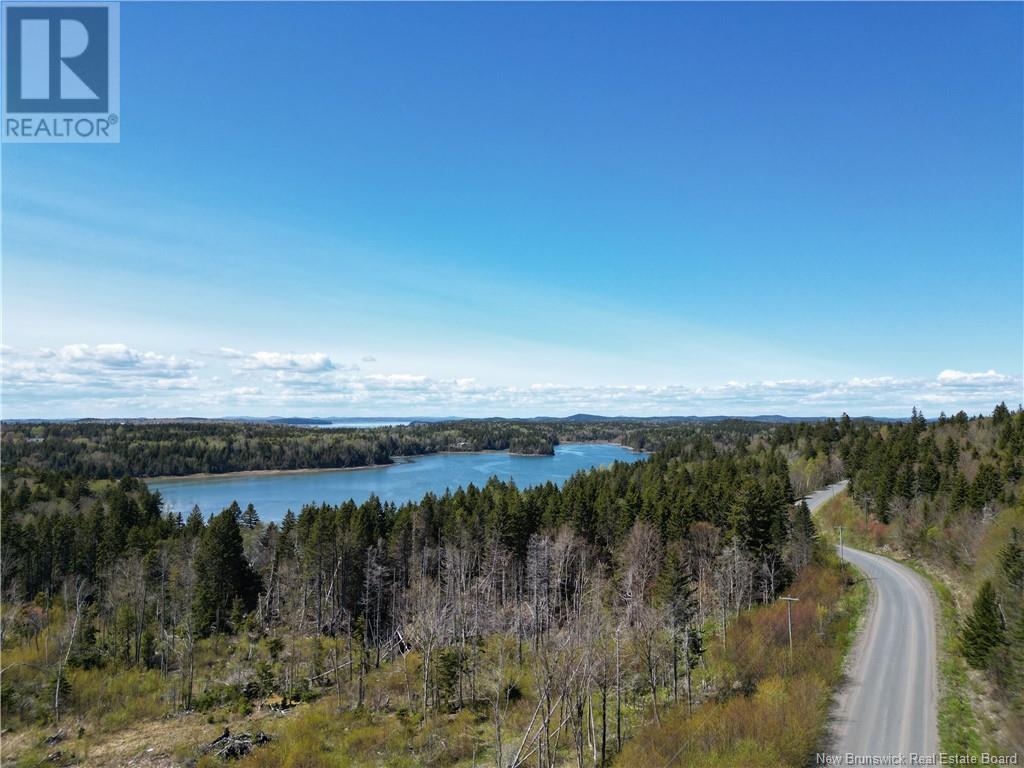 Lot 88-104 Bunker Hill Road, Campobello Island, New Brunswick  E5E 1Z3 - Photo 1 - NB098925