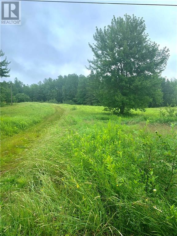 Lot Lakeland Road, Collette, New Brunswick  E4Y 1J3 - Photo 10 - M159335