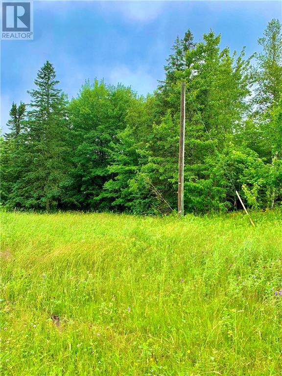 Lot Lakeland Road, Collette, New Brunswick  E4Y 1J3 - Photo 4 - M159335