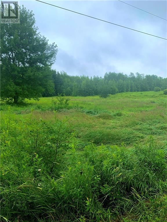 Lot Lakeland Road, Collette, New Brunswick  E4Y 1J3 - Photo 8 - M159335