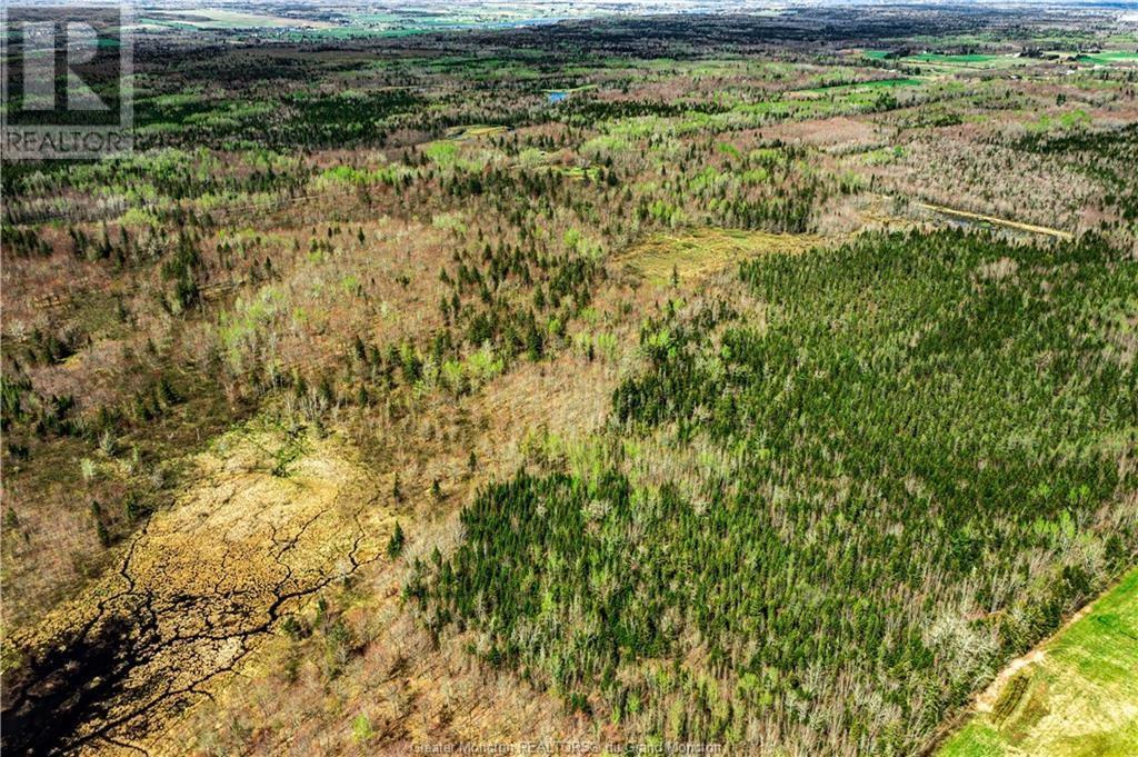 Lot Saint Damien, Saint-Damien, New Brunswick  E4V 3E6 - Photo 2 - M159436