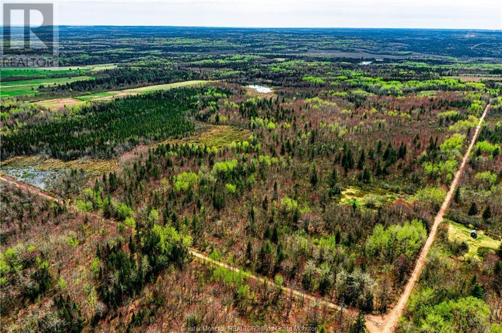 Lot Saint Damien, Saint-Damien, New Brunswick  E4V 3E6 - Photo 5 - M159436