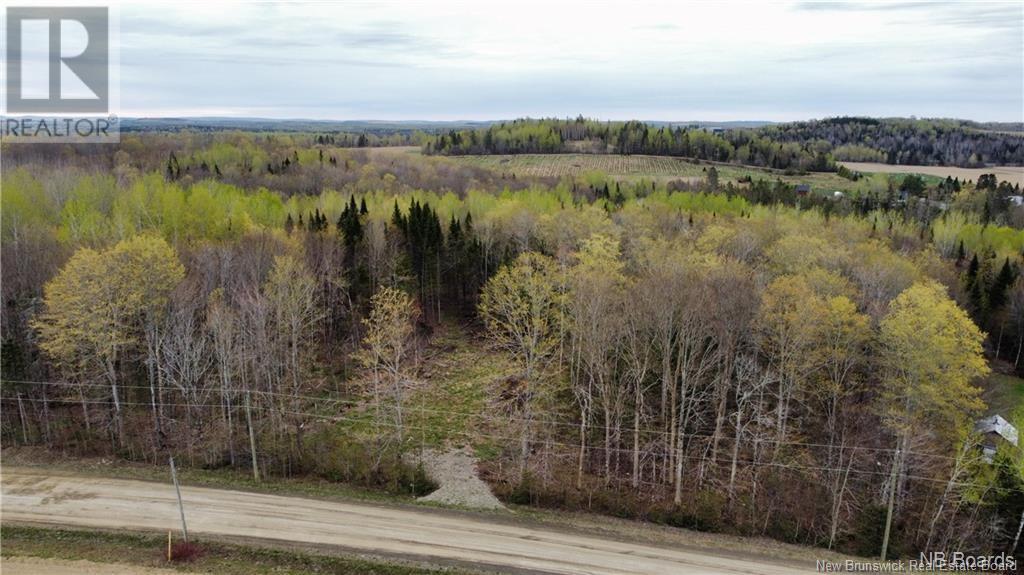 Lot Mckeaghan Road, Williamstown, New Brunswick  E7K 1H1 - Photo 2 - NB100455