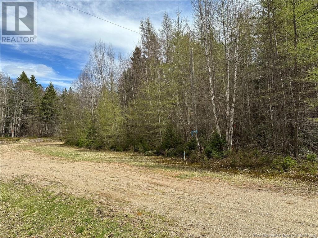 Lot 23-1 Country Shore Lane, Codys, New Brunswick  E4C 1B6 - Photo 12 - NB098620