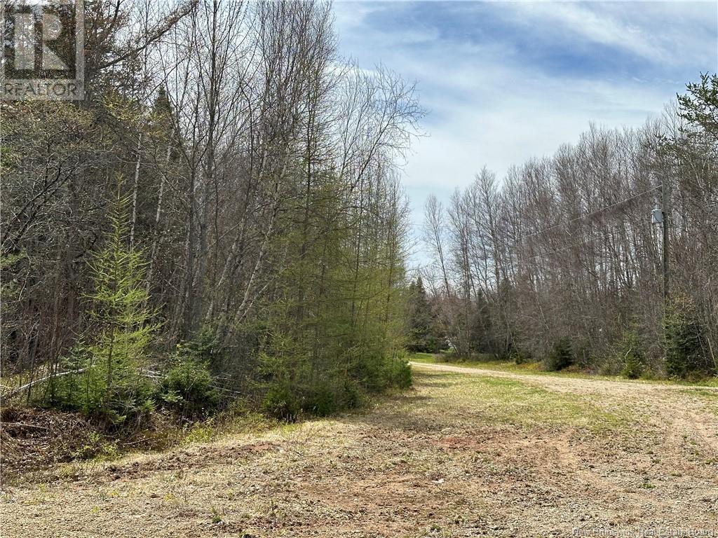 Lot 23-1 Country Shore Lane, Codys, New Brunswick  E4C 1B6 - Photo 15 - NB098620