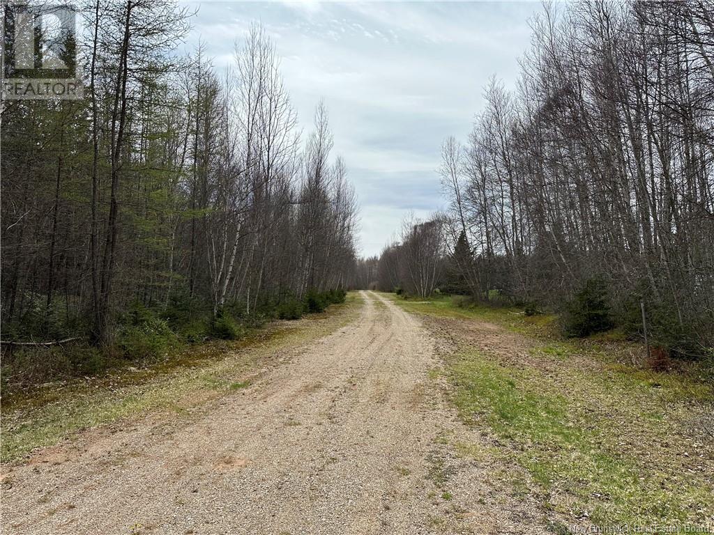 Lot 23-1 Country Shore Lane, Codys, New Brunswick  E4C 1B6 - Photo 18 - NB098620