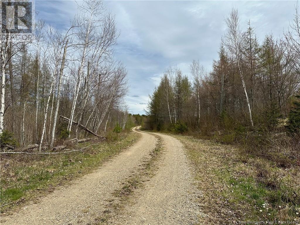 Lot 23-1 Country Shore Lane, Codys, New Brunswick  E4C 1B6 - Photo 23 - NB098620