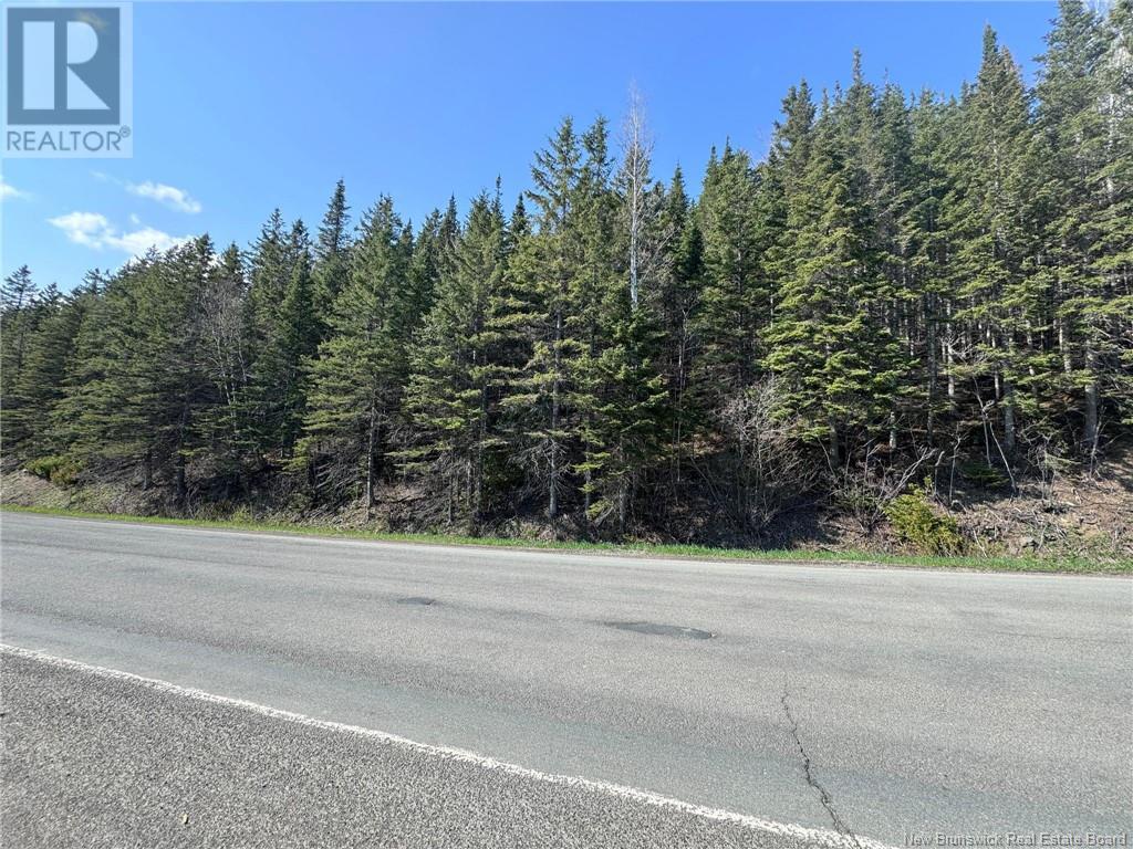 Lot 270-275 Route, val-d'amour, New Brunswick