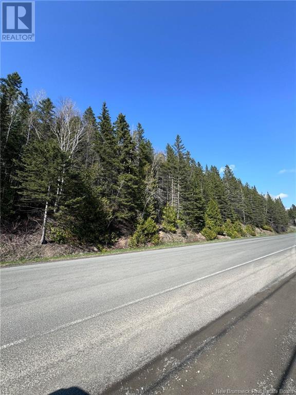 Lot 270-275 Route, Val-D'amour, New Brunswick  E3N 5M7 - Photo 3 - NB100557