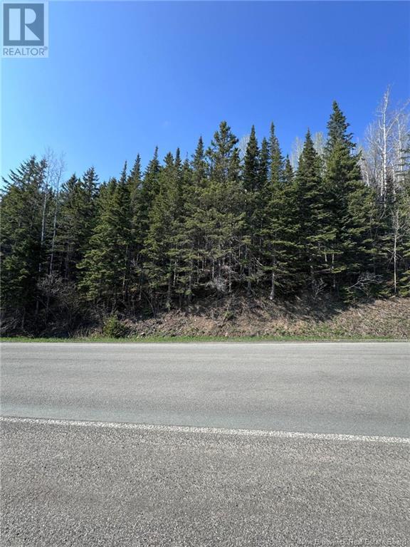 Lot 270-275 Route, Val-D'amour, New Brunswick  E3N 5M7 - Photo 4 - NB100557