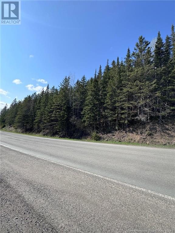 Lot 270-275 Route, Val-D'amour, New Brunswick  E3N 5M7 - Photo 5 - NB100557