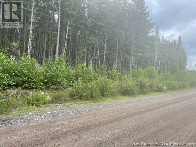 000 Maxwell Road, Bonny River, New Brunswick  E5C 1C6 - Photo 1 - NB100609