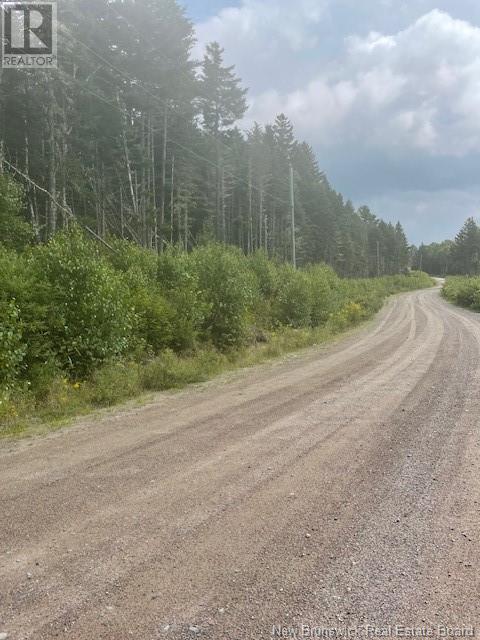 000 Maxwell Road, Bonny River, New Brunswick  E5C 1C6 - Photo 2 - NB100609