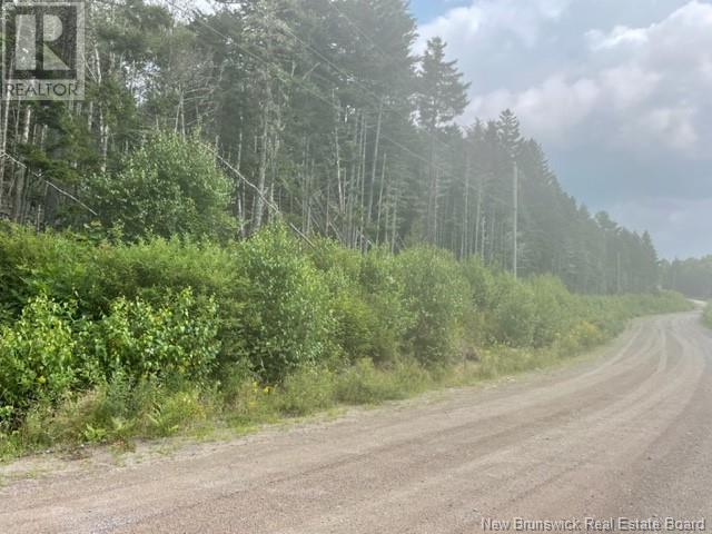 000 Maxwell Road, Bonny River, New Brunswick  E5C 1C6 - Photo 3 - NB100609