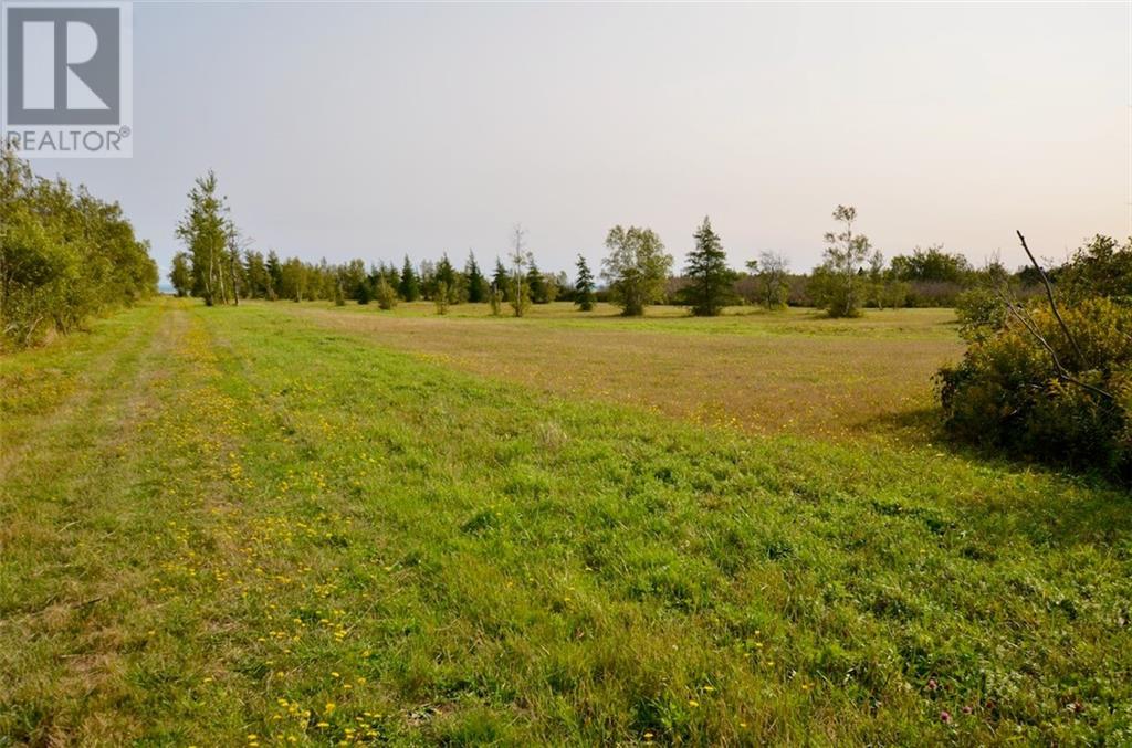 Lot 95-1 Route 960, Cape Spear, New Brunswick  E4M 1S8 - Photo 13 - M159612