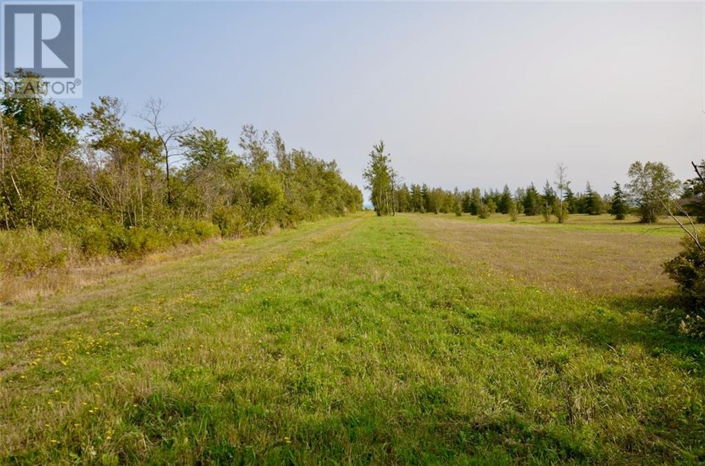 Lot 95-1 Route 960, Cape Spear, New Brunswick  E4M 1S8 - Photo 15 - M159612