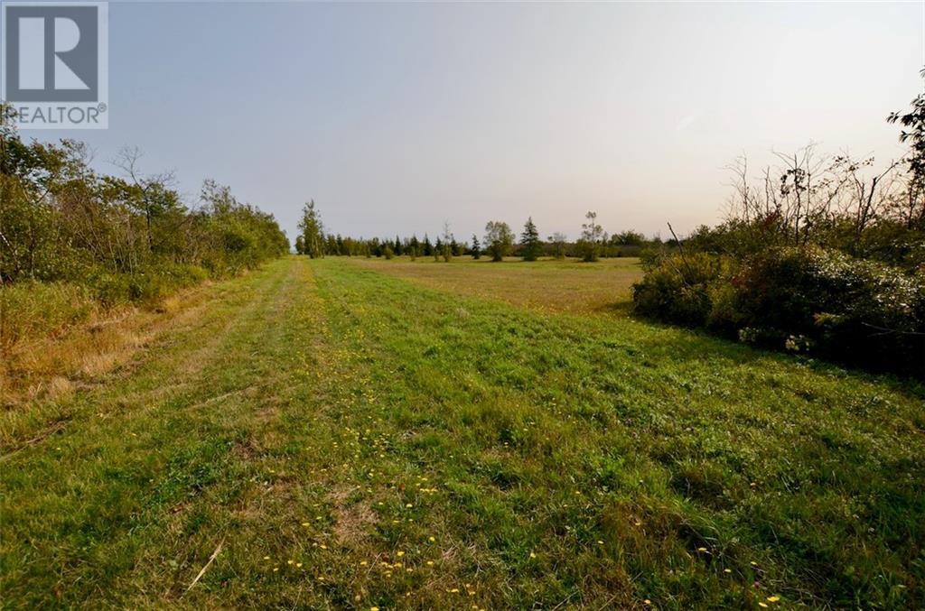 Lot 95-1 Route 960, Cape Spear, New Brunswick  E4M 1S8 - Photo 5 - M159612