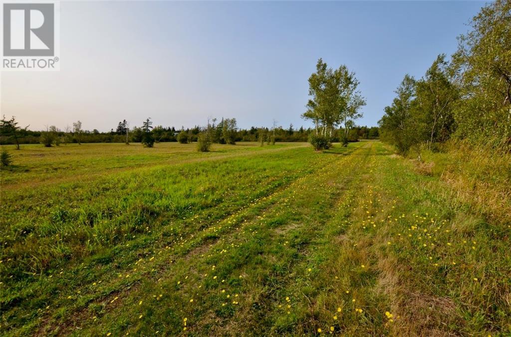 Lot 95-1 Route 960, Cape Spear, New Brunswick  E4M 1S8 - Photo 9 - M159612