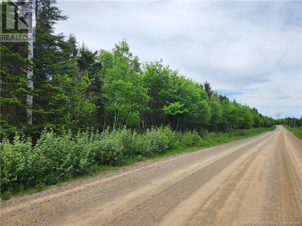 - East Scotch Settlement Road, East Scotch Settlement, New Brunswick  E5T 2M3 - Photo 3 - NB100804