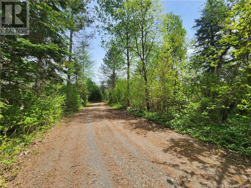 - Deschenes Road, Sainte-Anne-De-Madawaska, New Brunswick  E7E 1P5 - Photo 19 - NB100814