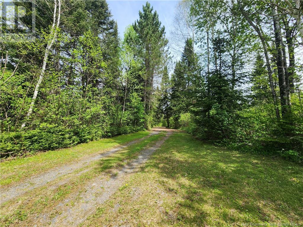 - Deschenes Road, Sainte-Anne-De-Madawaska, New Brunswick  E7E 1P5 - Photo 20 - NB100814