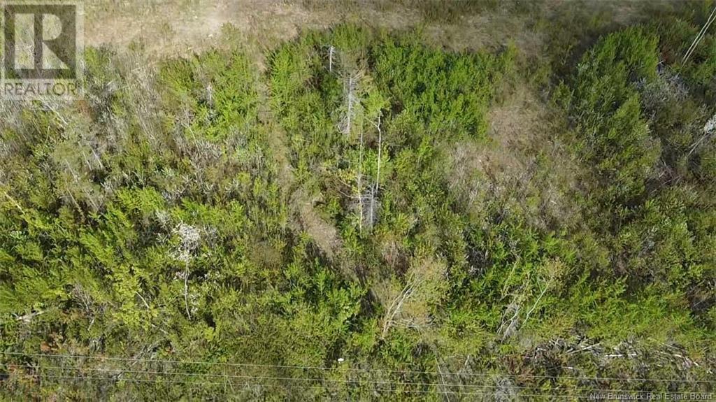 Lot 9 Tobin Road, Elmwood, New Brunswick  E7N 2E1 - Photo 1 - NB100774