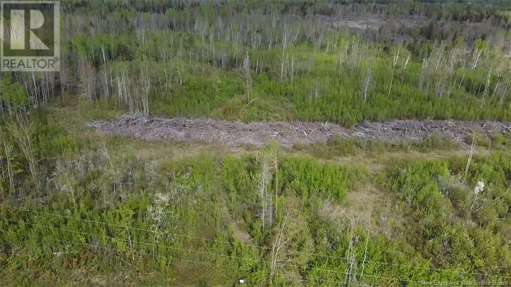 Lot 9 Tobin Road, Elmwood, New Brunswick  E7N 2E1 - Photo 2 - NB100774