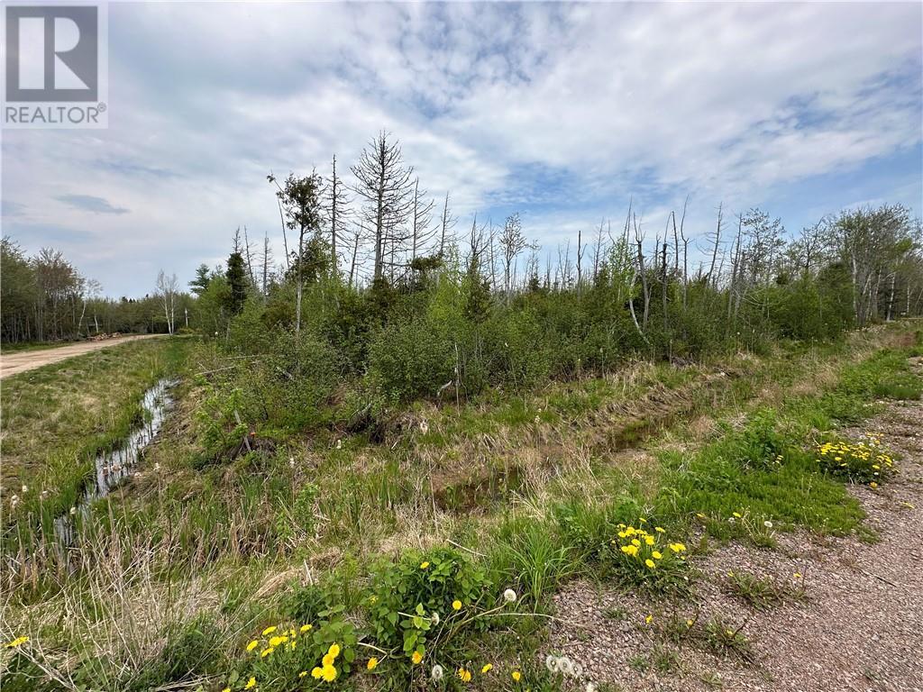 Lot 75-11 Gite, Grand-Barachois, New Brunswick  E4P 7V6 - Photo 1 - M159674