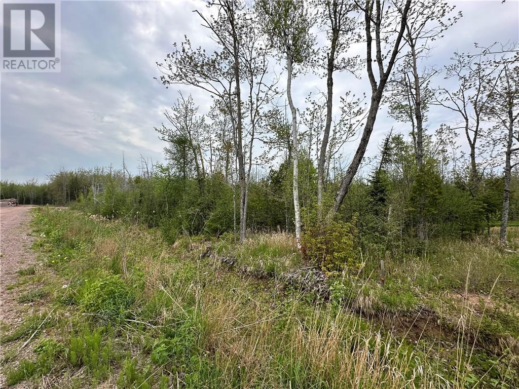 Lot 75-11 Gite, Grand-Barachois, New Brunswick  E4P 7V6 - Photo 10 - M159674