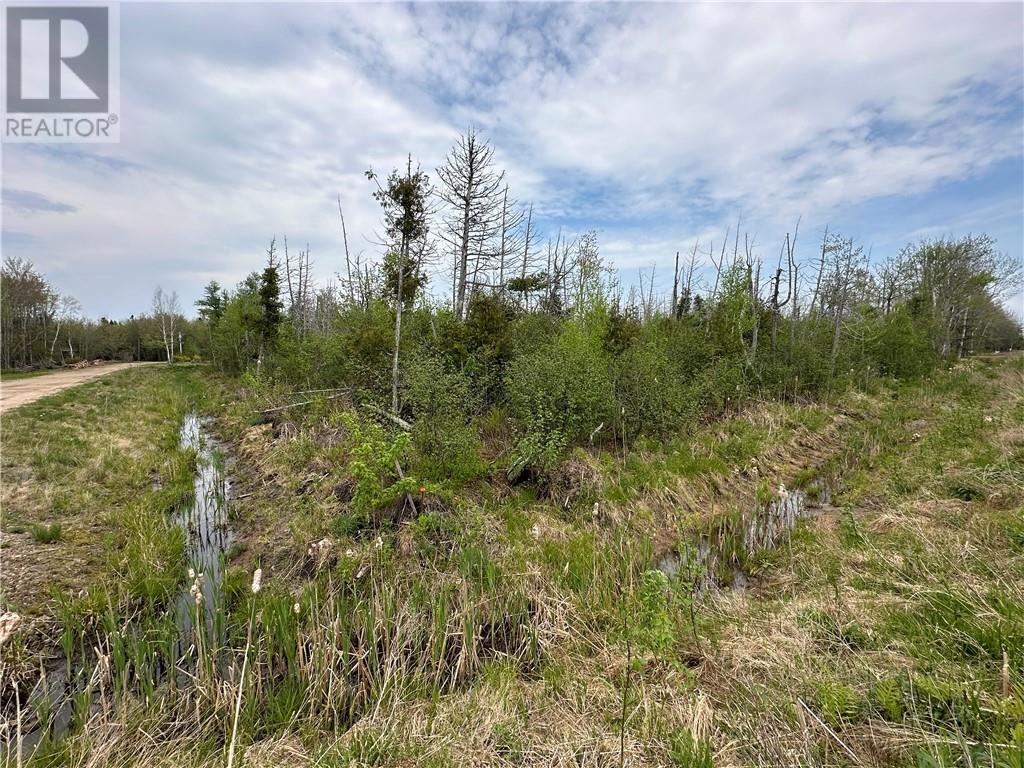 Lot 75-11 Gite, Grand-Barachois, New Brunswick  E4P 7V6 - Photo 2 - M159674