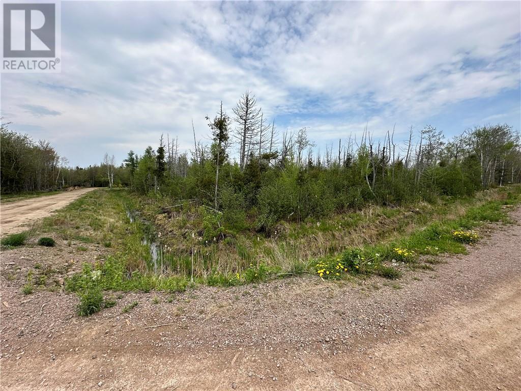 Lot 75-11 Gite, Grand-Barachois, New Brunswick  E4P 7V6 - Photo 3 - M159674