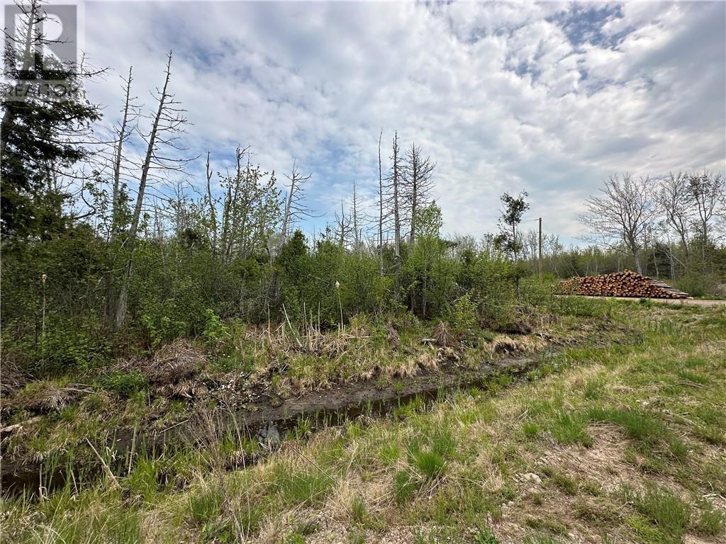 Lot 75-11 Gite, Grand-Barachois, New Brunswick  E4P 7V6 - Photo 4 - M159674